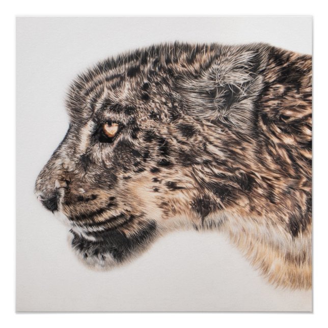 Póster Poster da parede do leopardo da neve (Frente)