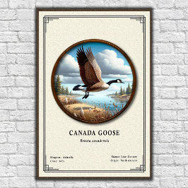 Poster Pôster da Série de Zoologia do Ganso-do-Canadá