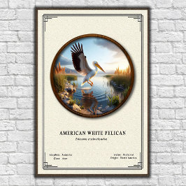 Poster Pôster da Série de Zoologia do Pelicano Branco Ame
