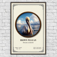 Pôster da Série de Zoologia do Pelicano Marrom