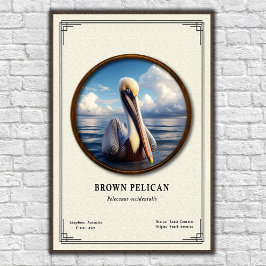 Poster Pôster da Série de Zoologia do Pelicano Marrom