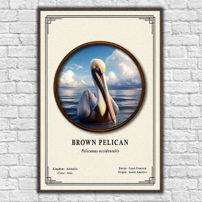 Poster Pôster da Série de Zoologia do Pelicano Marrom (Criador carregado)