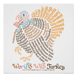 Póster Poster da Turquia Selvagem do Mundo