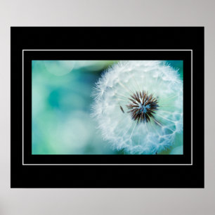 Poster Poster-Dandelion