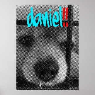Póster poster_daniel!