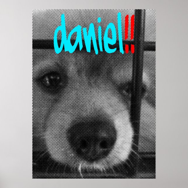 Póster poster_daniel! (Frente)