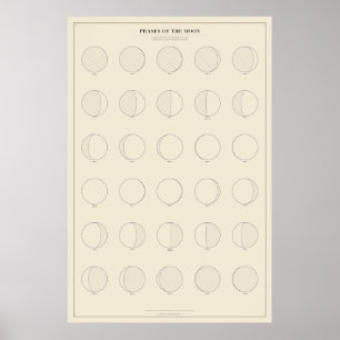 Poster Pôster das Fases da Lua