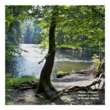 poster de 20" x 20" (Semibrilho)