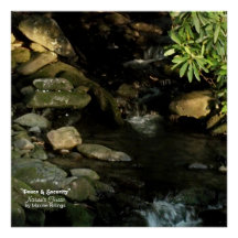 poster de 20" x 20" (Semibrilho)