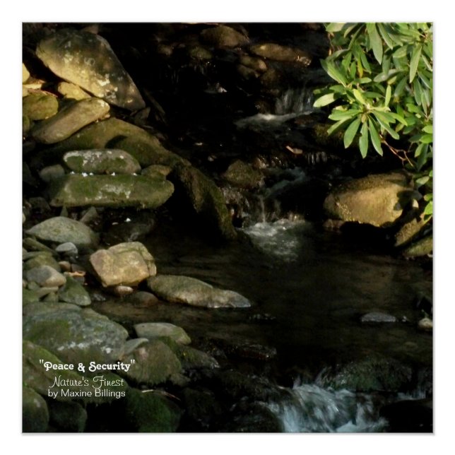 Póster poster de 20" x 20" (Semibrilho) (Frente)