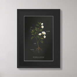 Poster Pôster de Anatomia Botânica da Dark Academia