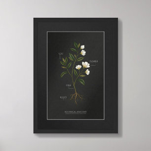 Poster Pôster de Anatomia Botânica da Dark Academia