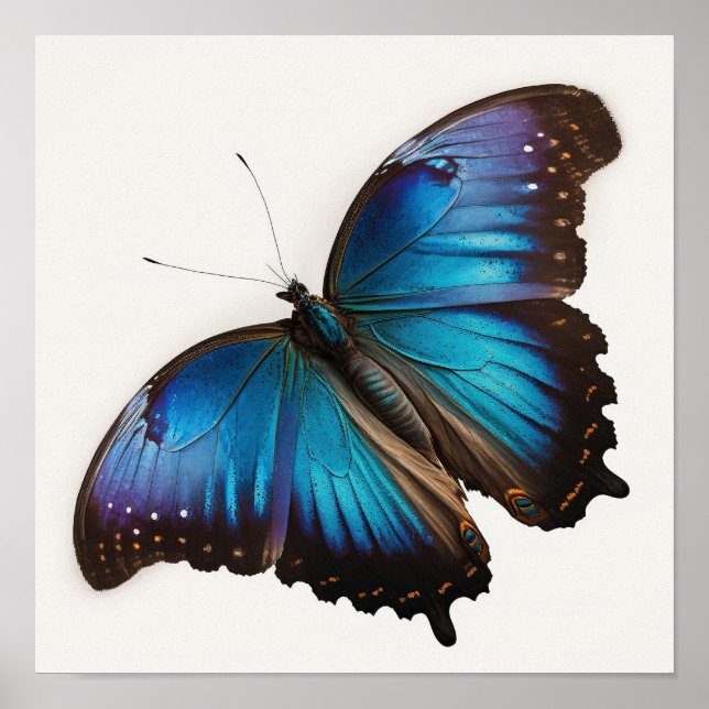 Poster Pôster de Arte da Borboleta Morfo Azul (Frente)
