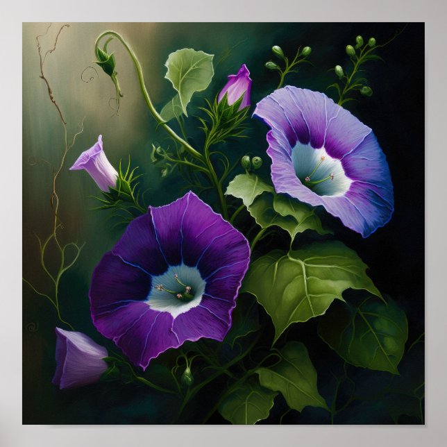 Poster Pôster de Arte da Flor de Ipomoea Purpurea (Frente)