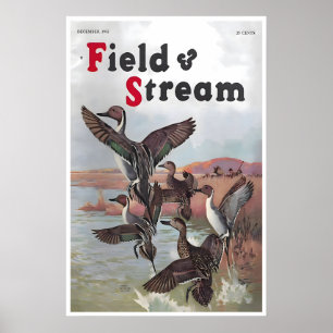 Poster Pôster de Arte de Caça ao Pato da Capa Field And S