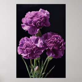 Poster Pôster de Arte de Flor de Cravos Roxos