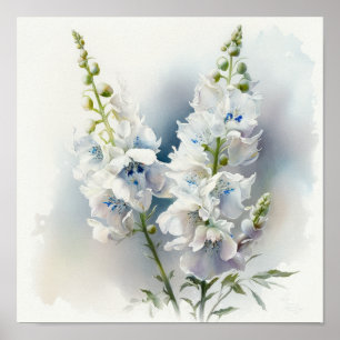 Poster Pôster de Arte de Flor de Delphinium Branco