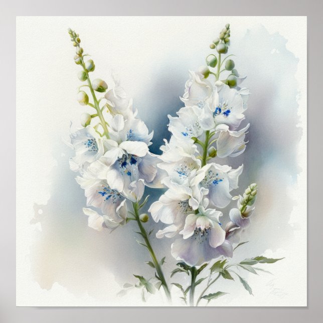 Poster Pôster de Arte de Flor de Delphinium Branco (Frente)