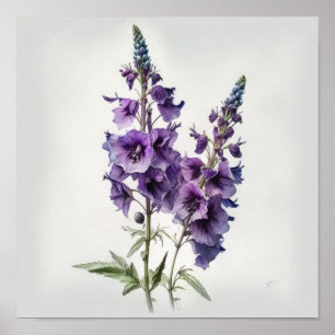 Poster Pôster de Arte de Flor de Delphinium Roxo