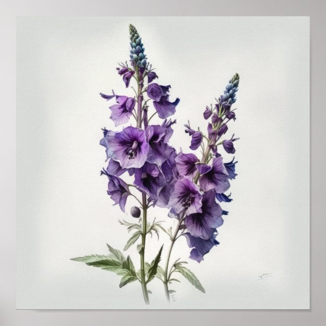 Poster Pôster de Arte de Flor de Delphinium Roxo (Frente)