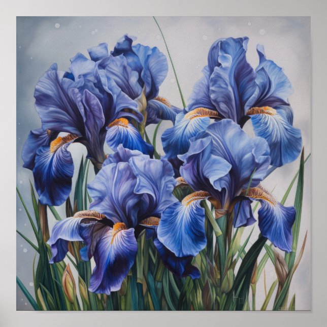 Poster Pôster de Arte de Flor de Íris Azul (Frente)