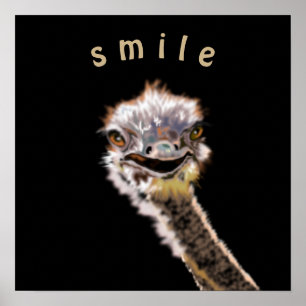 Poster Pôster de avestruz engraçado com sorriso em cor ou