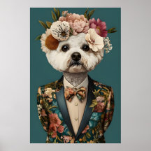 Pôster de Bichon Frise de Terno, Bichon Frise