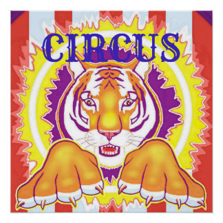 Póster Poster de Circus Tiger 20x20
