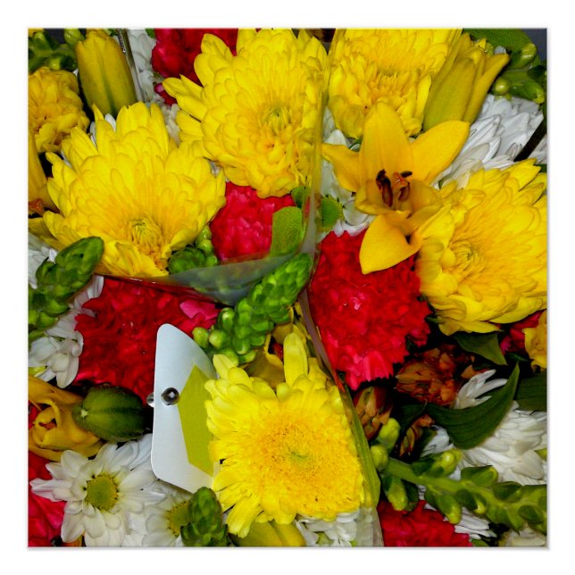 Póster Poster de Combinação de Flor Verde Amarelo Vermelh (Frente)