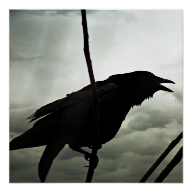 Póster Poster de Corvo/Raven (Frente)