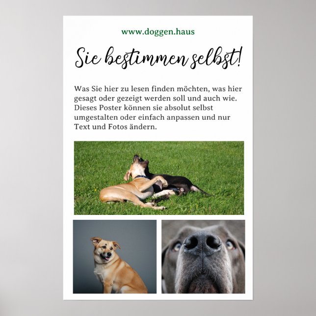 Poster Pôster de Dogge para personalizar (Frente)
