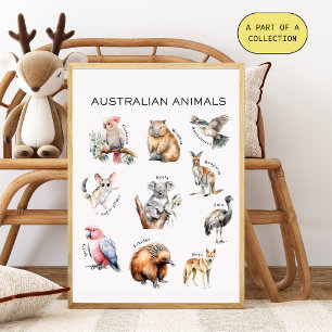 Póster Poster de Educação de Animais Australianos