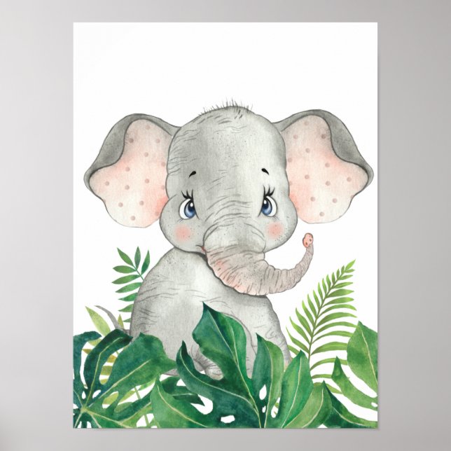 Poster Pôster de Elefante Bebê na Selva Safari (Frente)