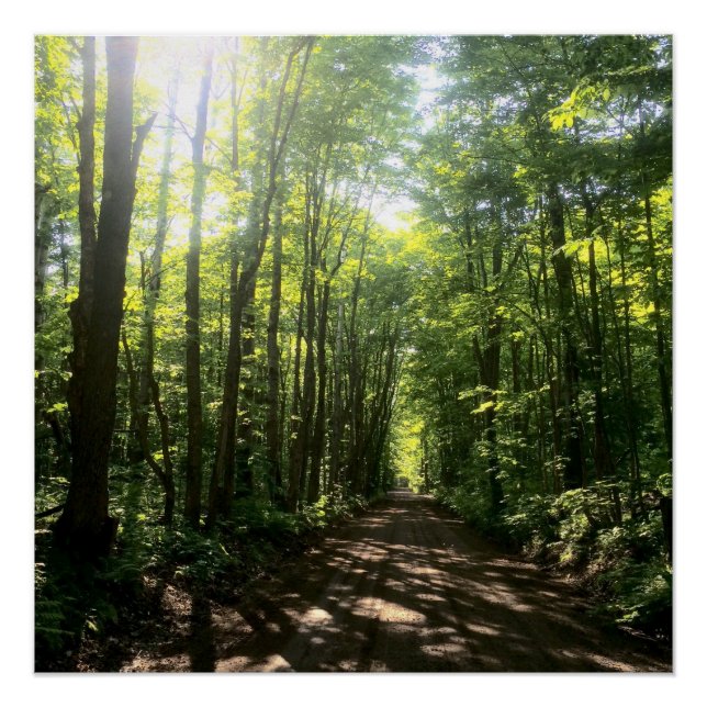 Póster poster de floresta (Frente)