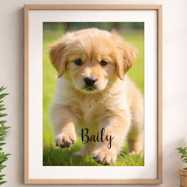 Poster Pôster de Foto de Cachorro Personalizado com Nome  (Criador carregado)