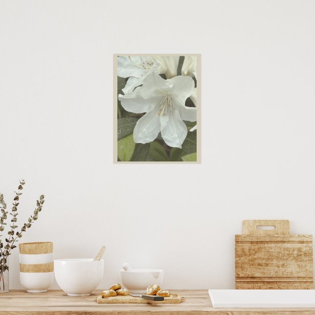 Poster Pôster de Foto de Flores Brancas (Cozinha)