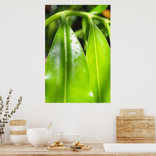 Poster Pôster de Foto de Folhas Verdes Tropicais (Cozinha)