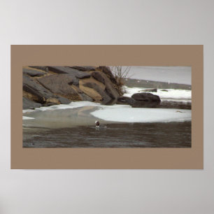 Poster Pôster de Foto de Paisagem Aquática Nevada