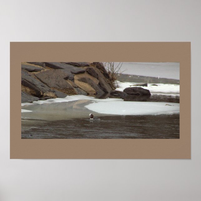Poster Pôster de Foto de Paisagem Aquática Nevada (Frente)