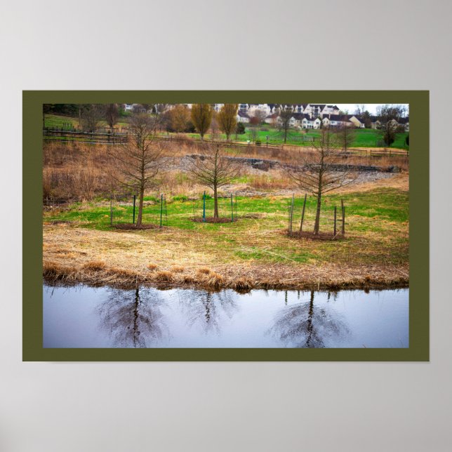 Poster Pôster de Foto de Reflexos na Água do Lago (Frente)