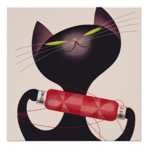 Póster Poster de Gato Zwicky por Donald Brun