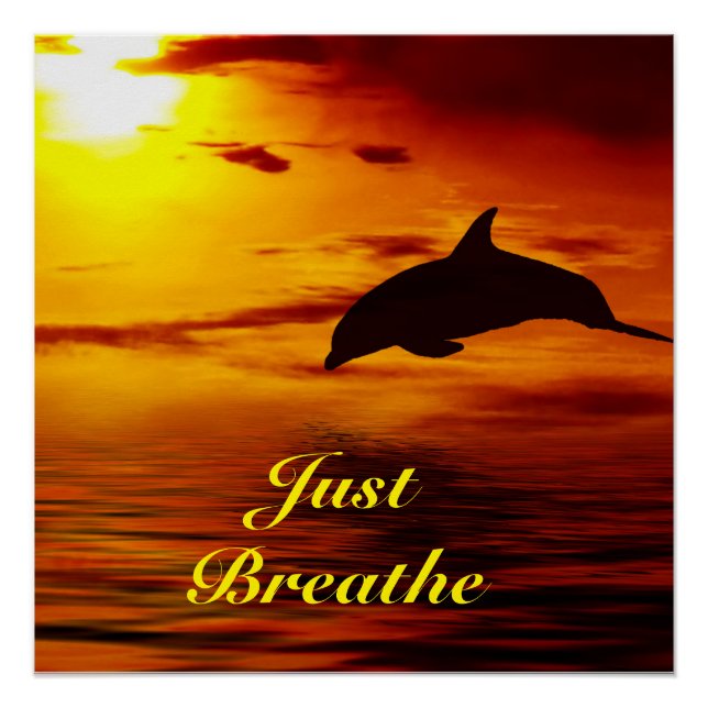 Póster Poster de golfinho (Frente)