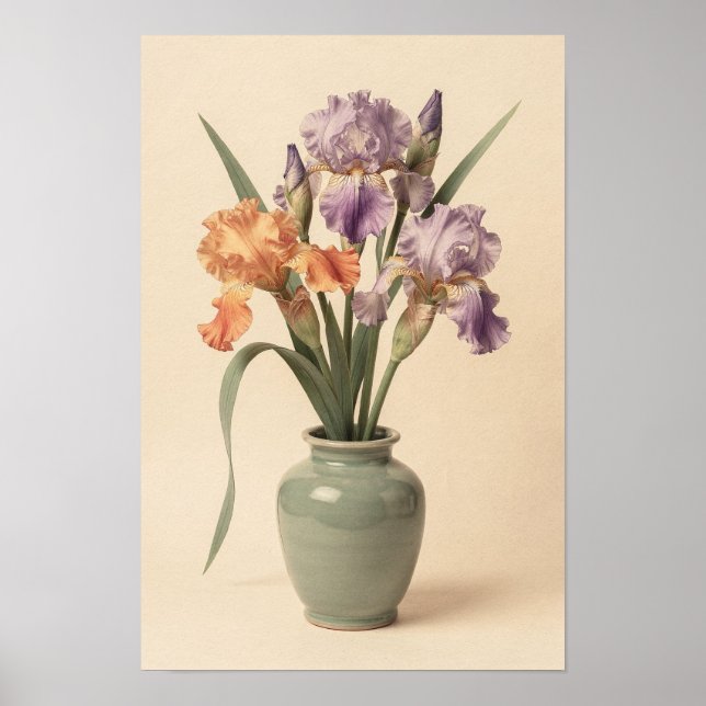 Poster Pôster de Íris Violeta e Damasco em Vaso de Salvia (Frente)