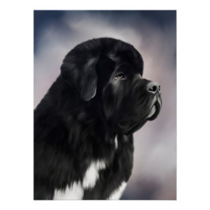 Póster Poster de Landseer Terra Nova do urso de Notta