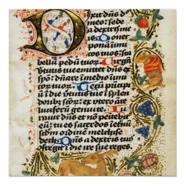 Póster Poster de Manuscrito Iluminado Medieval (Frente)