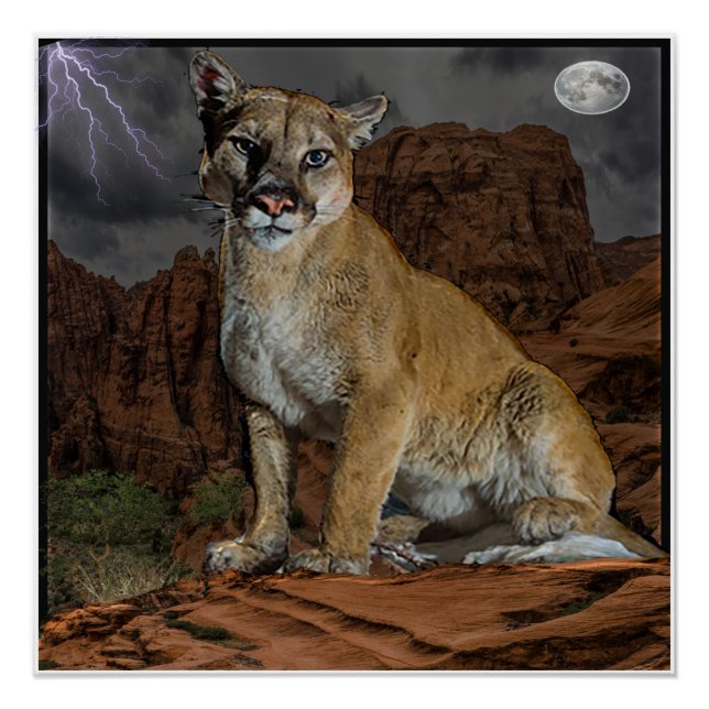 Póster poster de montanha (Frente)