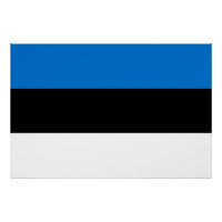 Poster de muro patriótico com bandeira da Estônia