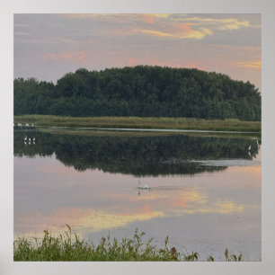 Poster Pôster de paisagem aquática com reflexos do pôr do