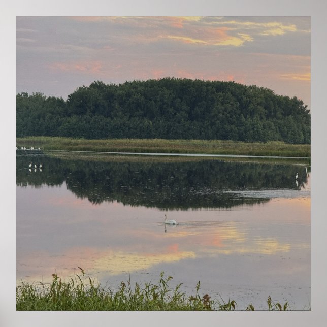 Poster Pôster de paisagem aquática com reflexos do pôr do (Frente)