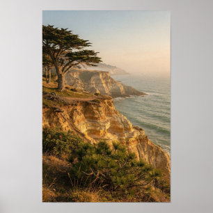 Poster Pôster de paisagem de cipreste iluminado pelo sol 